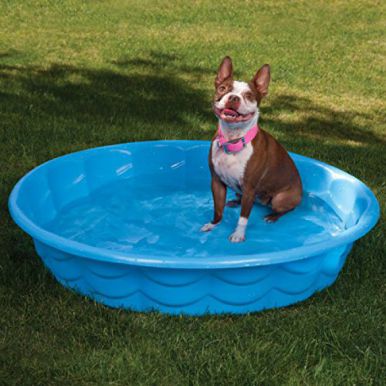 paddling pool 4ft